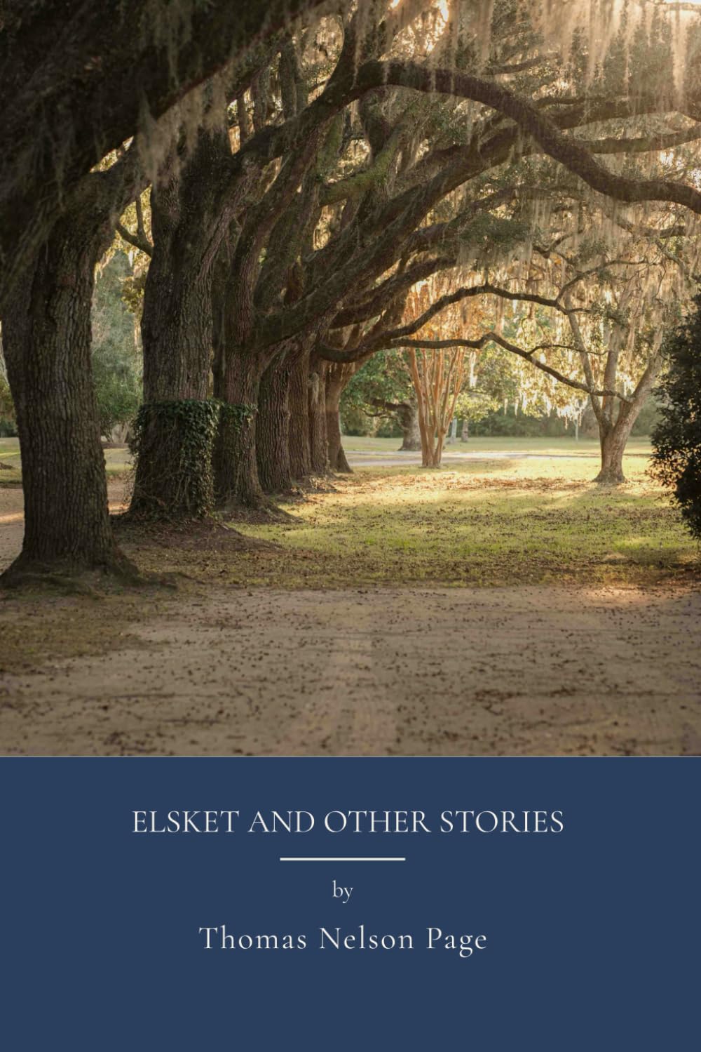 Elsket and Other Stories: Southern Literature From The American South (Annotated)