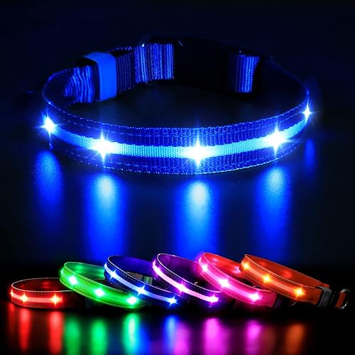 MASBRILL Collar para perro con luces LED, recargable, resistente al agua, intermitente, brillante, para caminar nocturno, color azul, talla M (19.69