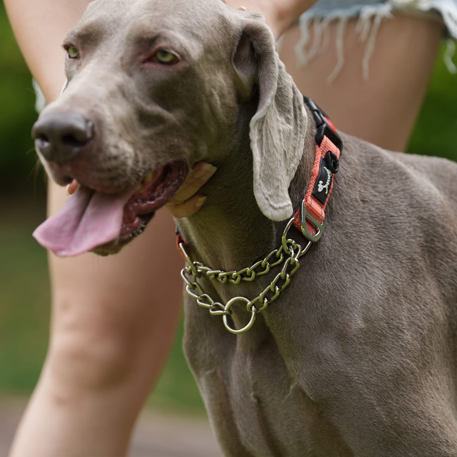 PETTOM Collare Semistrozzo per Cani Cane Addestramento Collari con Catena Regolabile Riflettente Anello di Metallo Nylon Imbottito Fibbia di Sicurezza Martingale Collare per Camminare Allenarsi Rosso