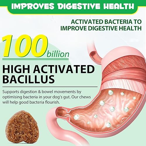 Miniatura 3 de Probióticos para perros (pato, 30 unidades), masticables probióticos para perros con enzimas digestivas, probióticos para perros para levadura,