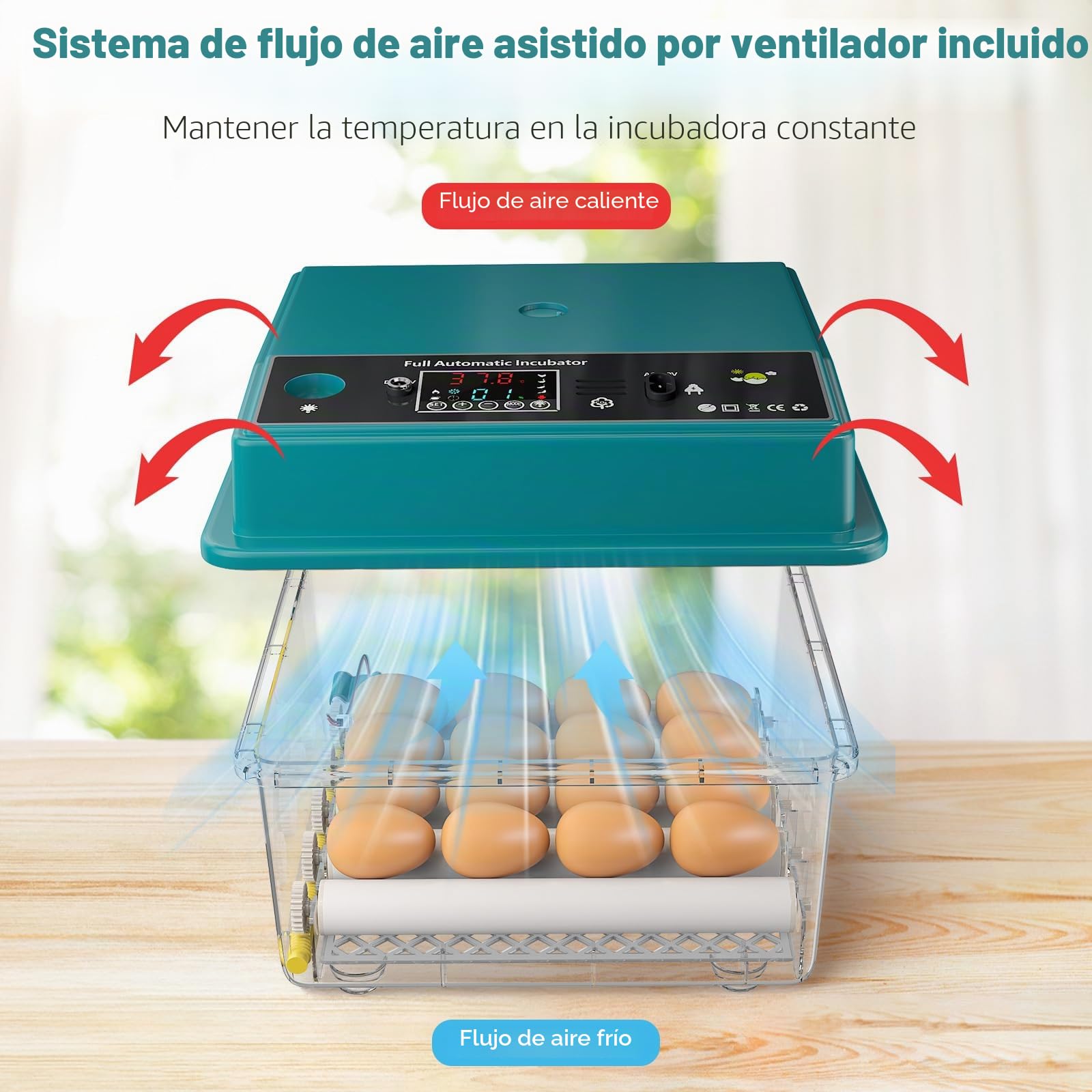 Incubadora Huevos Gallina, Incubadora de 16-64 Huevos con Volteo Automático de Huevos y Humidificación Automática, Fuente de Alimentación Dual, Pantalla LED, Lámpara de Huevo (16 Huevos)