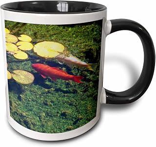 3dRose mug_21060_4 Coy Fish - Two Tone Black Mug, 11oz, Multicolored