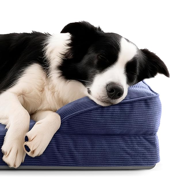 Foto 3 de 5 de Lumaland Cama ortopédica para Perros de Pana