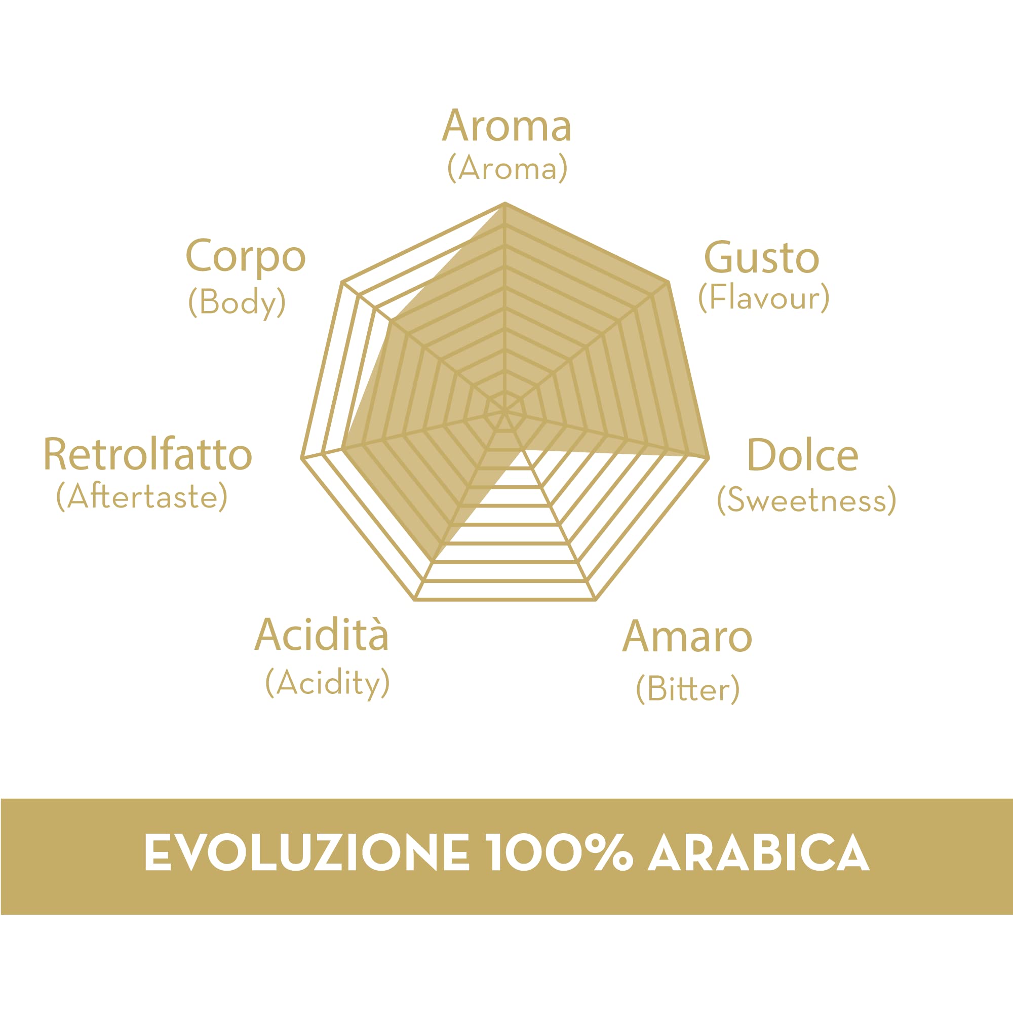 Musetti Kaffee, 150 kompostierbare Kaffeepads, 100% Arabica Evolution Blend mit zartem und fein-säuerlichem Geschmack, in 44 mm Filterpapier
