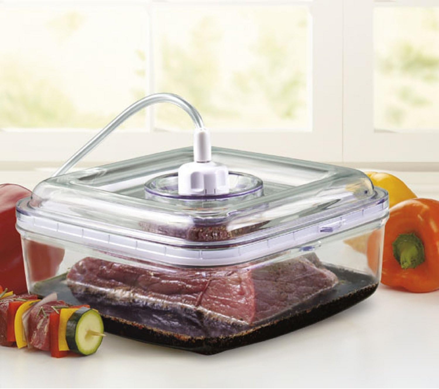 FOODSAVER GameSaver Quick Marinator