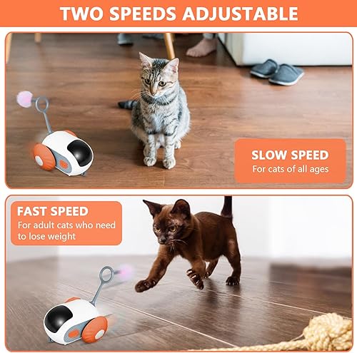 Miniatura 5 de Teazys - Auto eléctrico inteligente de juguete para gatos, juguetes interactivos para interiores, juguete para gatos Teazys Turbo Tail 2.0, juguete