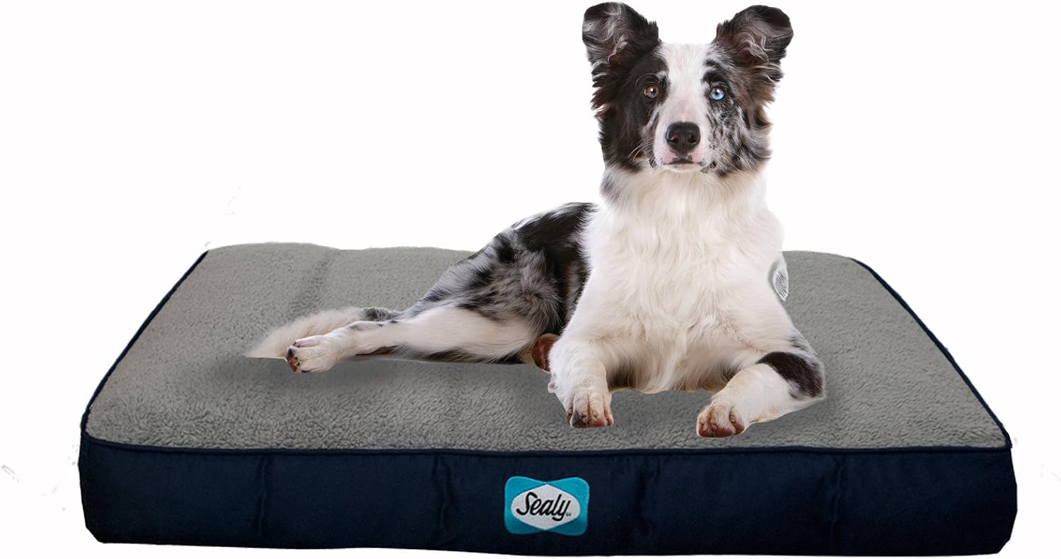 Sealy Dog Bed Cozy Comfy Sherpa, Navy Blue Pet Supplies