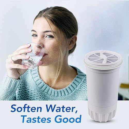 Miniatura 7 de ICEPURE Reemplazo del filtro de agua para jarra de 5 etapas NSF53&42 para ZERO ZR-001, ZR-003, ZR-017, ZP-007RP, ZD-013W, ZS-011RP, ZD-012RP,