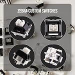 EPOMAKER Zebra 40gf Interrupteurs de claviers mécaniques linéaires, 5-Pin Commutateur préludé crémeux, 100 PCS, avec POM Tige, 21mm Ressort, compatible avec MX Captures pour clavier de jeu
