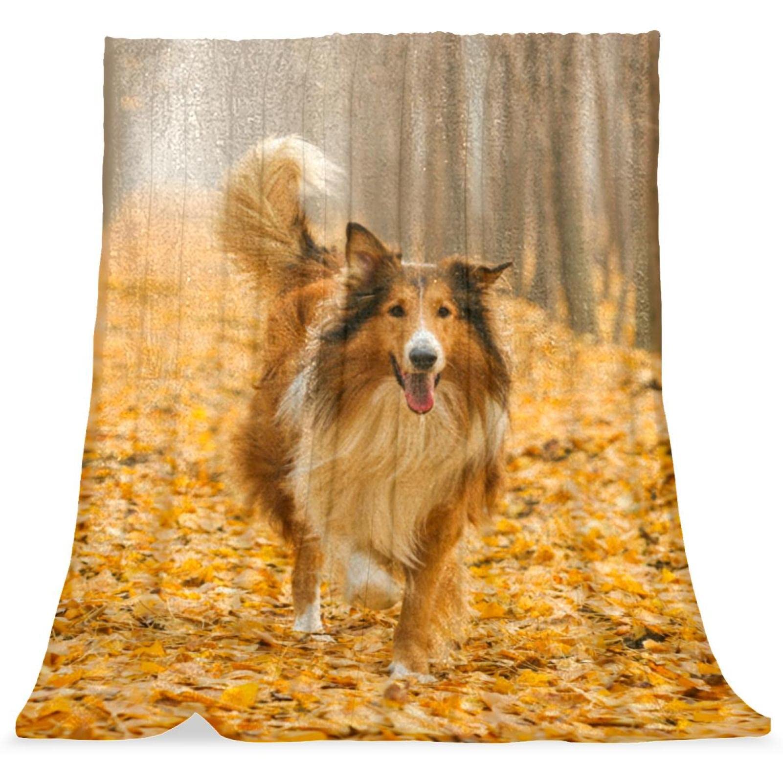 Tbouobt Boys Pattern 12130 Throw Blanket, Bed Blanket, Comfort, Soft, Fluffy, For Girls, Rough Collie Dog Autumn Animal