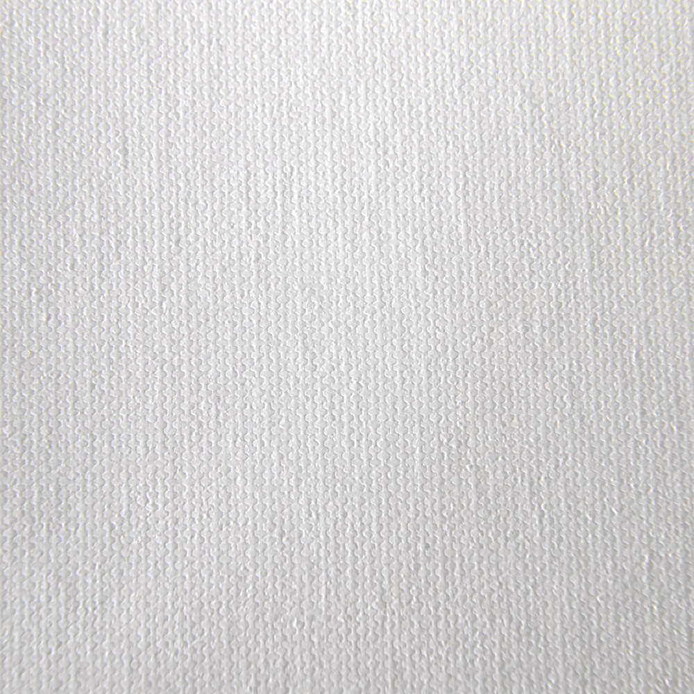 Canson 400053338 Infinity PhotoArt ProCanvas Matte Papier, 385 g/m², 17 Zoll, 0.432 x 12.2 m, weiß