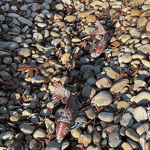Miniatura 5 de Juego de 2 Estatuas de Decoración de Peces Koi para Exteriores Esculturas de Cobre Antiguo Arte de Peces de Estanque de Jardín Estatuas de Peces Koi