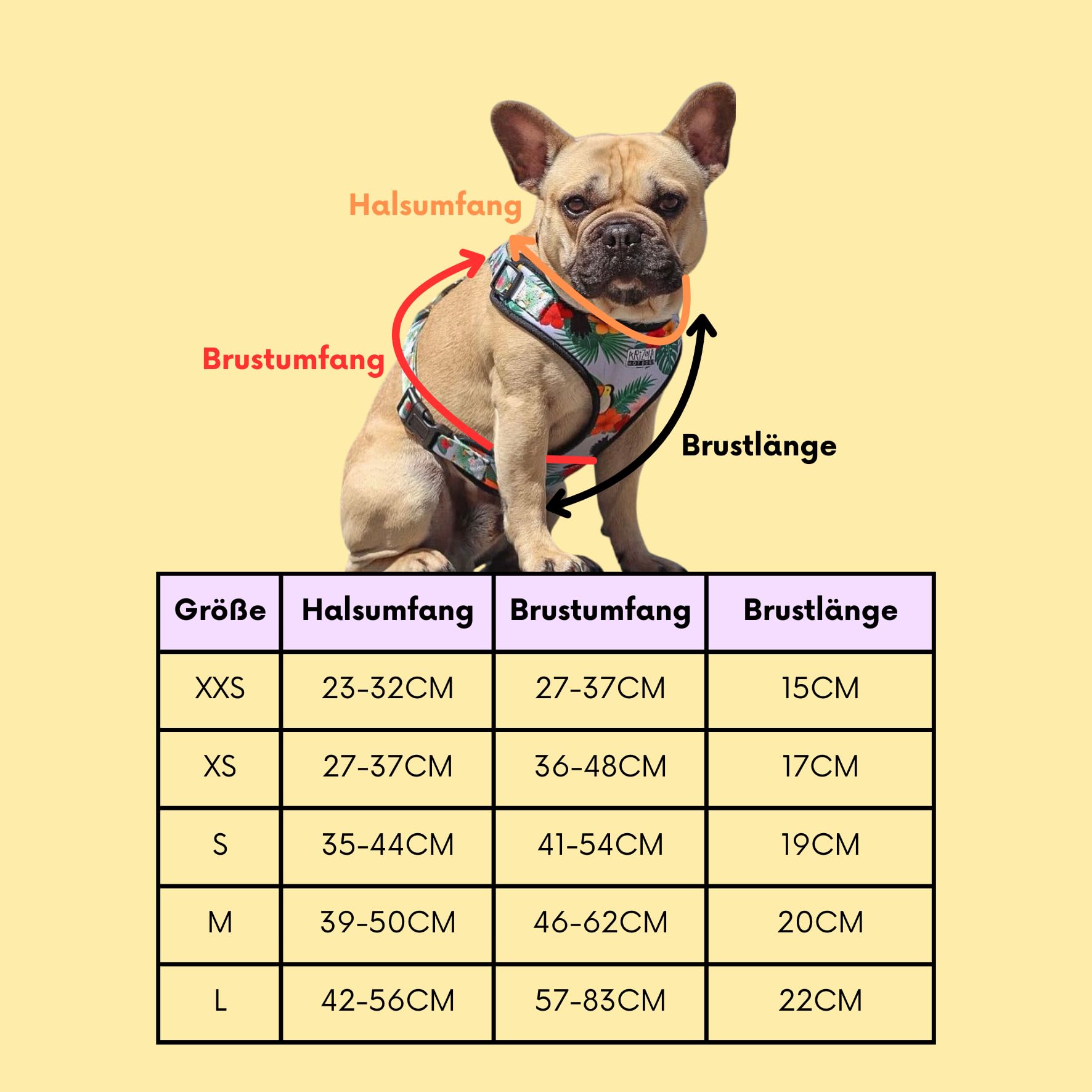 Arnés para perros con correa de 1,5 m para perros pequeños | Arizona Hotdogs Soft Arnés neopreno | Bubble Gum azul con patrón de flechas (S)