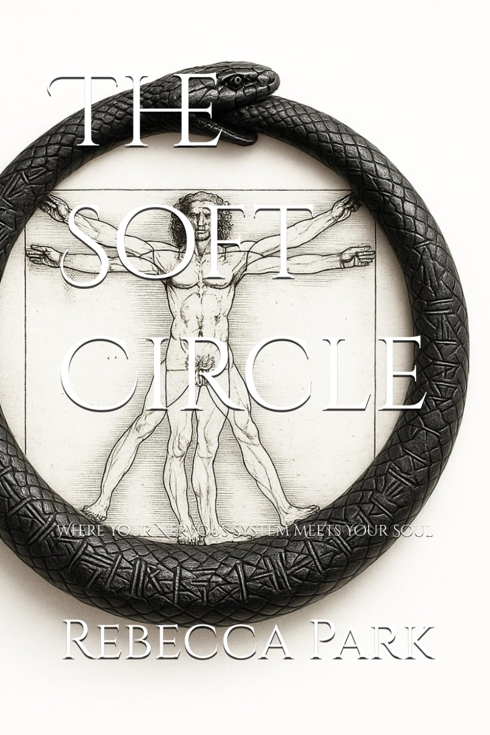 The Soft Circle: Where Your Nervous System Meets Your Soul