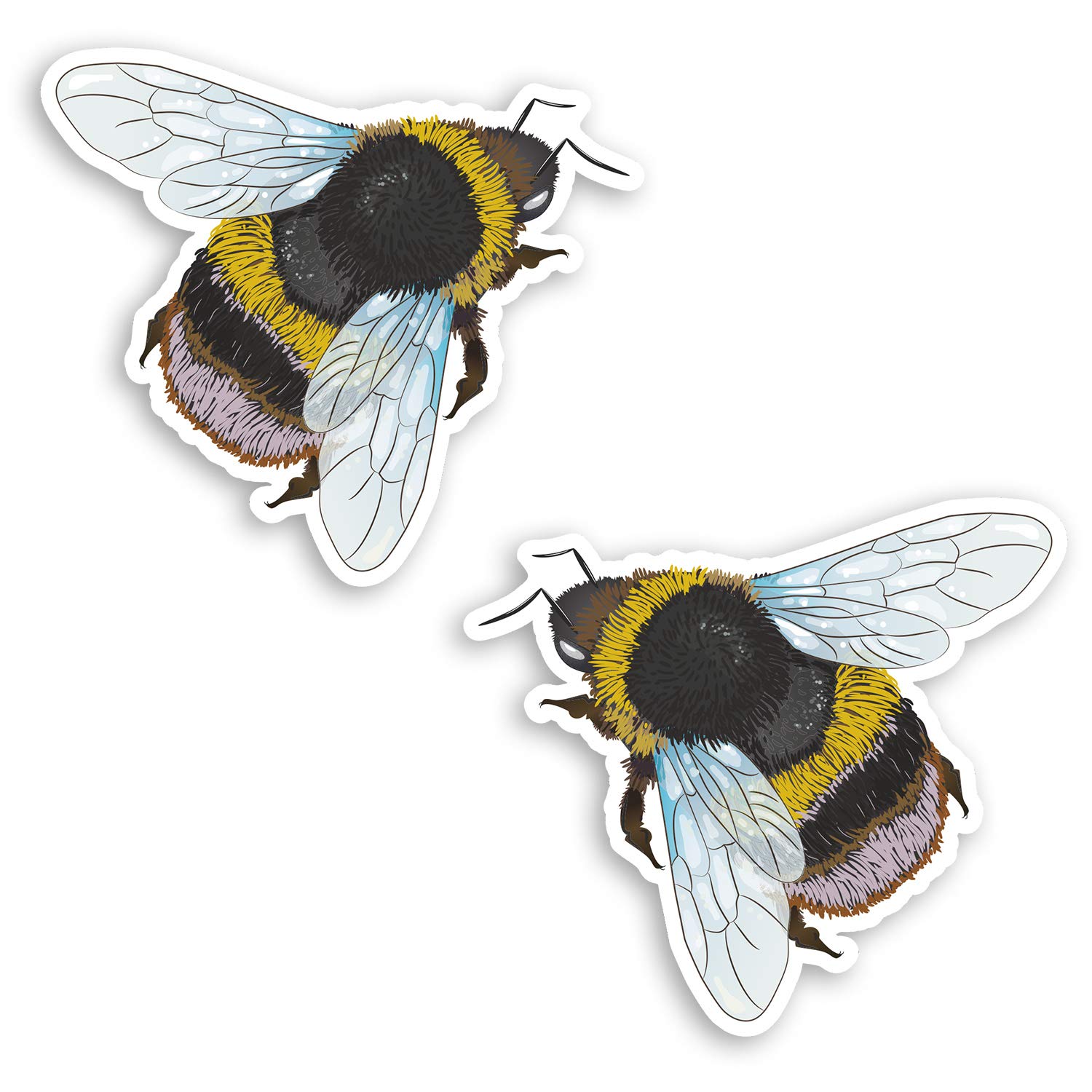 Destination Vinyl Ltd Stiker 4 2 X 10Cm Bumble Bee Insect Vinyl Stickers - Science Nature Laptop Sticker #34609 (10Cm Wide)