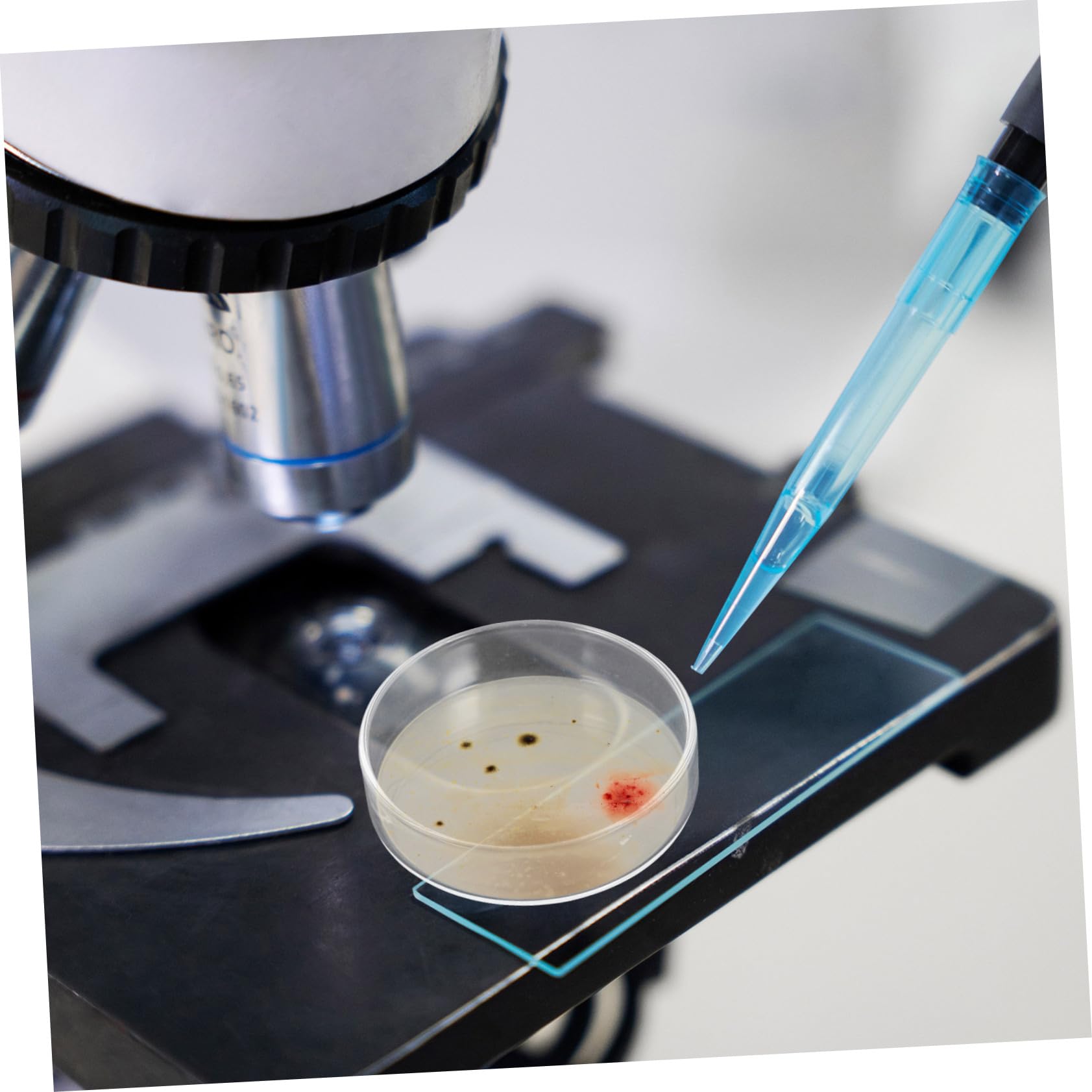 Garneck Piastre di Petri in Vetro 90mm Confezione da 10 con Coperchi Ventilati Trasparenti per Colture Cellulari e Studi Micologici Uso Didattico e Laboratoriale