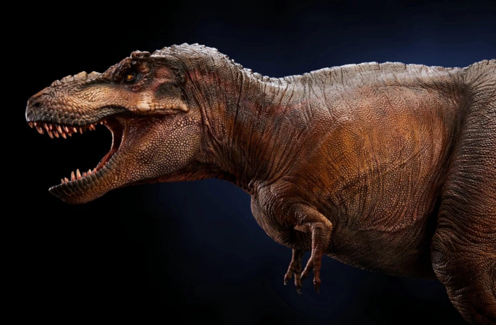 Model Dinozaura Tyranozaura, Kolekcja Muzealna, Dekoracja, Zwierzę, Owad, Rzeźba, Długi Smok, Biurko Biurowe