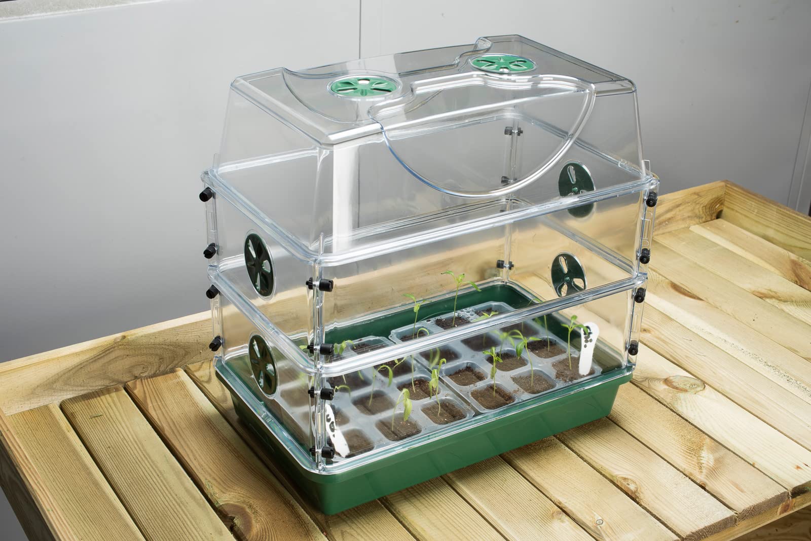 EarlyGrow MPL50119 Propagateur moyen incassable avec extension de hauteur (moyen avec deux ensembles d'extension)