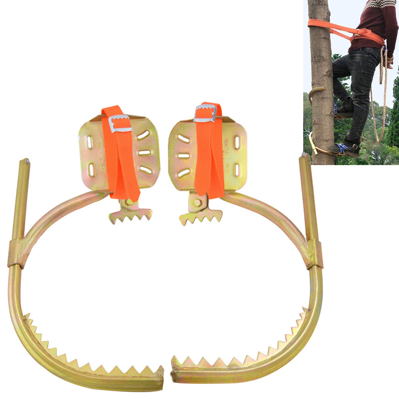 Arrampicata Strumenti Albero,Tree Climbing Ramponi L'Albero Saldatura di Precisione Arrampicarsi per Scegli I Pinoli,Raccogliere Frutta,Noce di Cocco,Type 450（22~45 Cm）