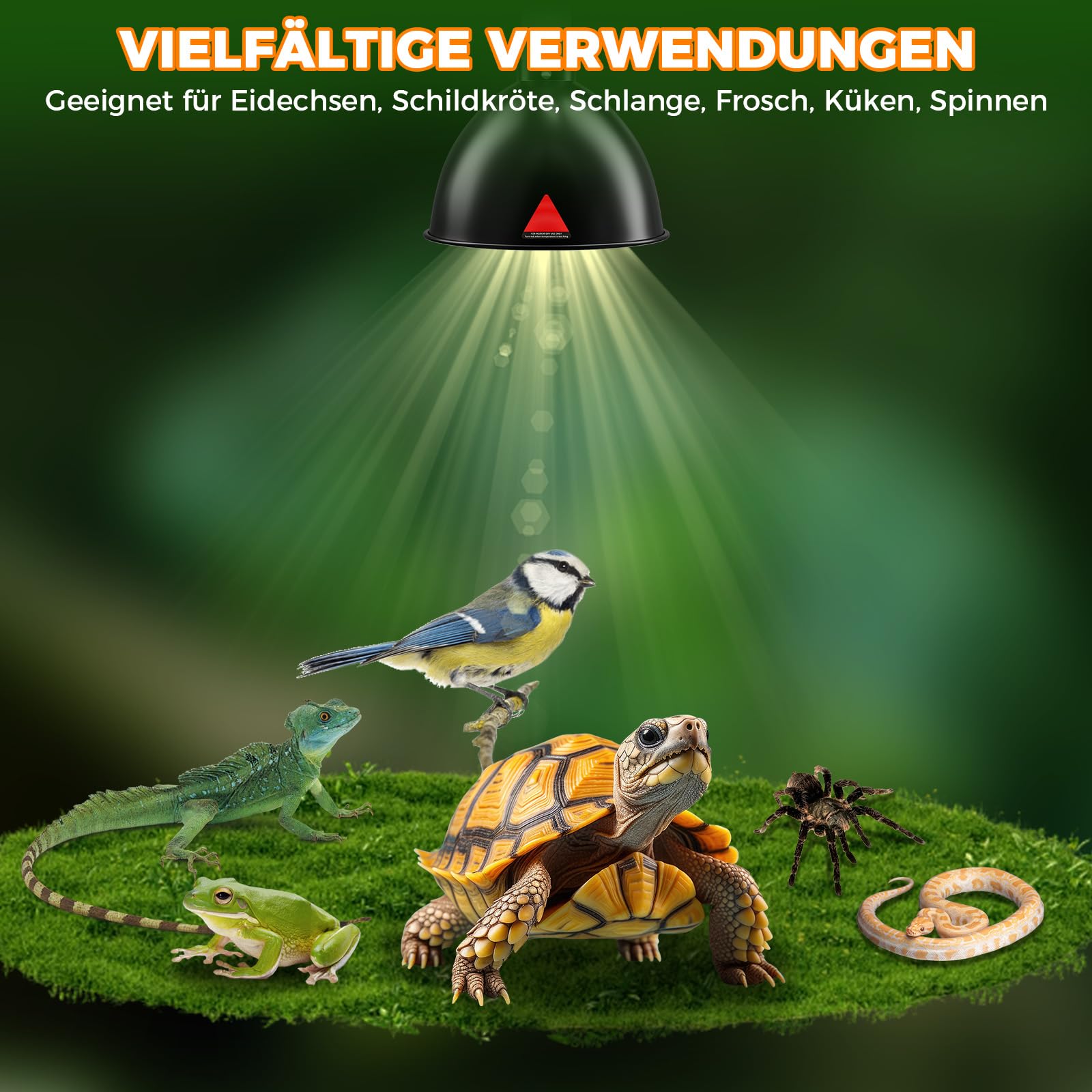 E27 Reptilien Terrarium Wärmelampenfassung 200W Dome Lampe 21CM Wärmelampen Schildkröten AC220-240V Reptilien Lampenschirm für Terrarium, Eidechsen, mit Haken und Klammern (Keine Glühbirne)