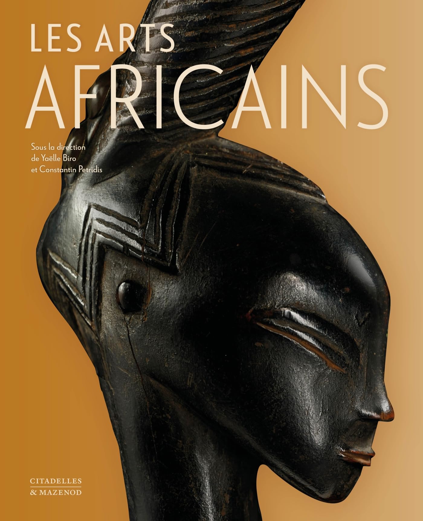 Les arts africains sculpture haut de gamme en bois noble fait main