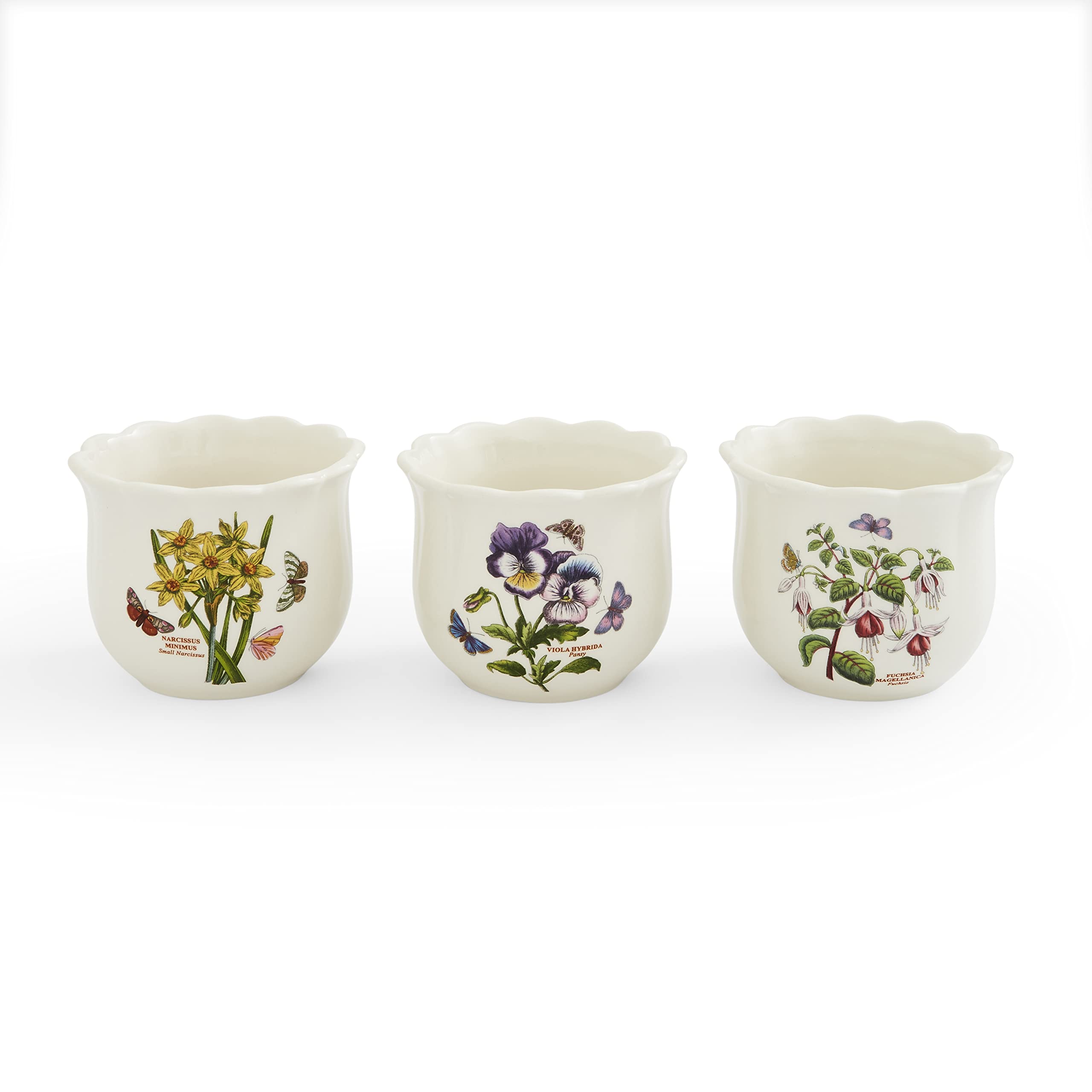 Portmeirion - Botanic Garden Bouquet Collection – Set di pentole per erbe con vassoio – Vaso per piante da interno – Vaso per erbe aromatiche – Set da 4 pezzi