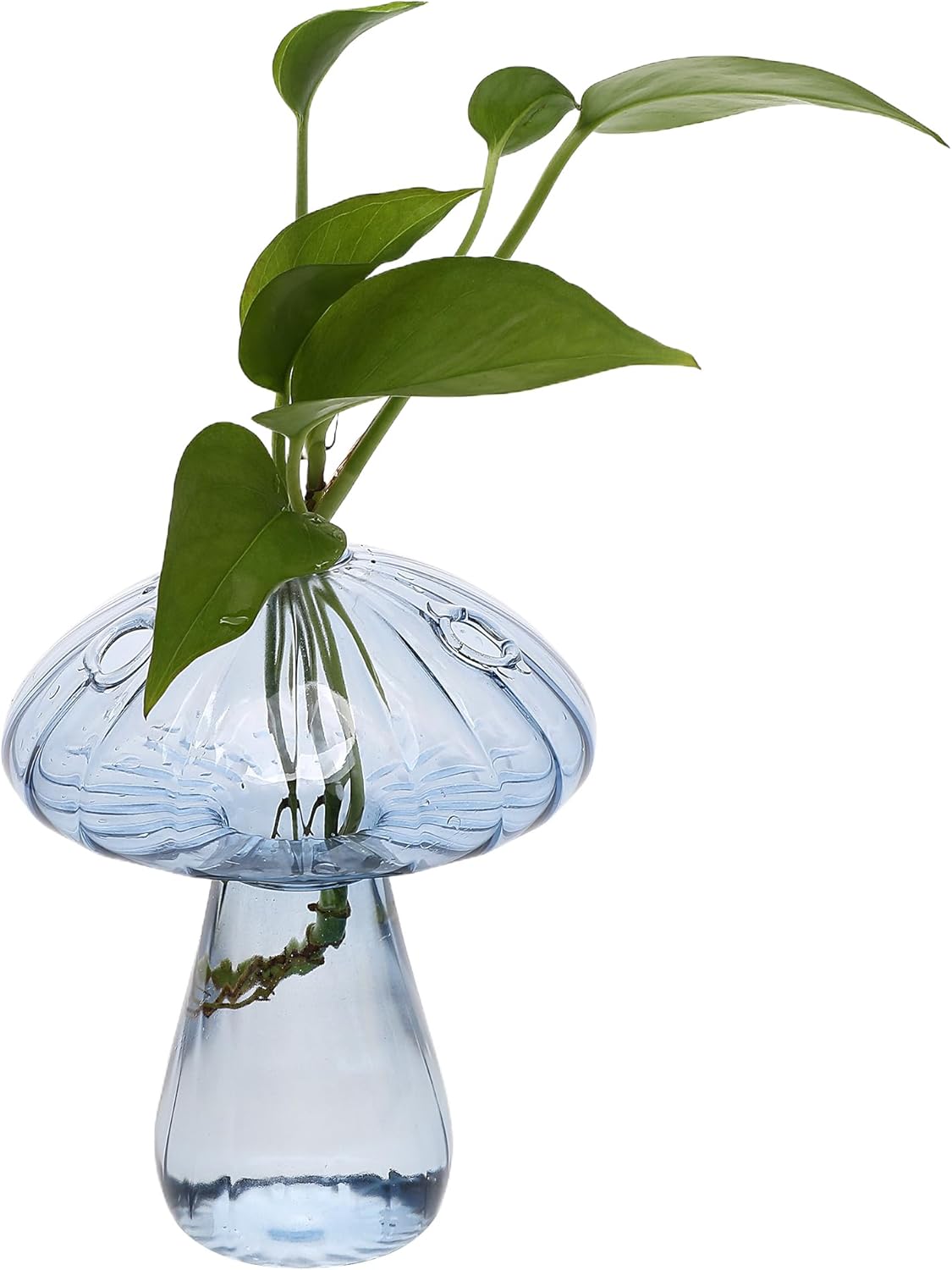 Mushroom Glass Vase Propagation Stations Flower Vases Home Decor Mushroom Planter Cute Vases Garden Decoration Set of 2 - Image 8