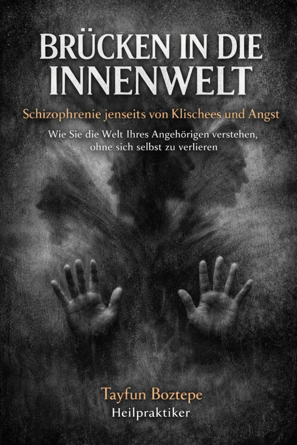 Brücken in die Innenwelt – Schizophrenie jenseits von Klischees und Angst: Wie Sie die Welt Ihres Angehörigen verstehen, ohne sich selbst zu verlieren.