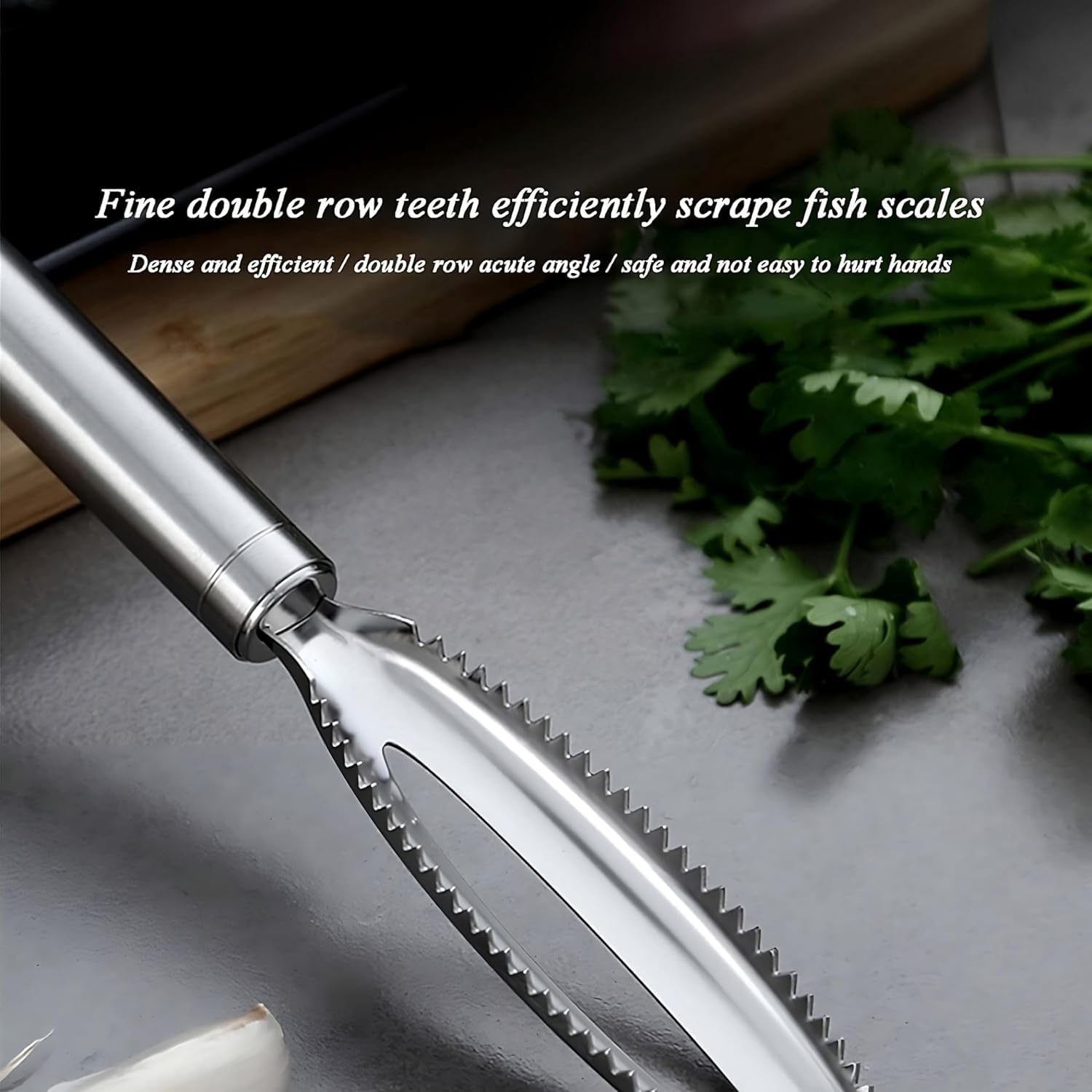 3-in-1 Stainless Steel Fish Maw Knife with Sawtooth Scaler fish scaler remover Premium Stainless Steel for Easy Scaling and Skinning Cleaning Brush Scraper for home, kitchen, fish shop (2) 2