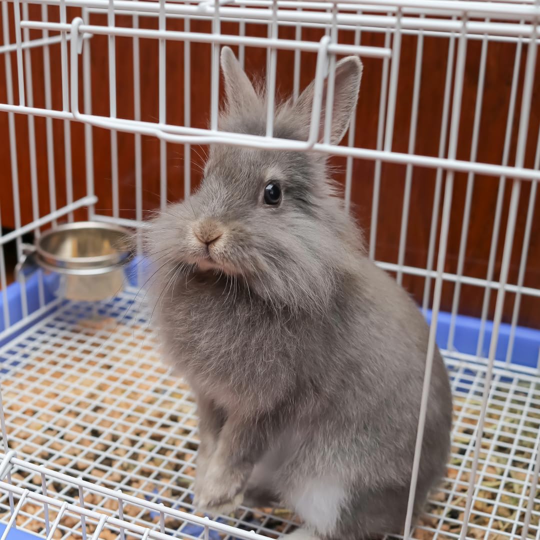 SPOT Coop Cup Bolt Clamp - Stainless Steel Hanging Bowl for Crates, Removable, Chew-Proof Pet Feeding Dish, Ideal for Birds, Parrots, Rabbits, Ferrets, Reptiles, 1.25 Cups (10 Oz) - image 7