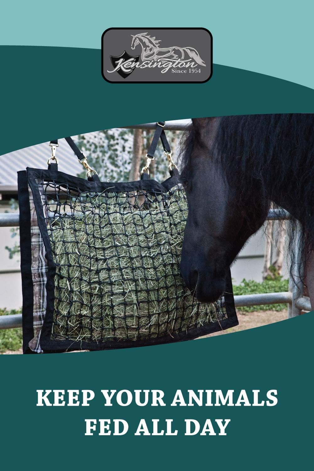 Kensington : Pet Supplies