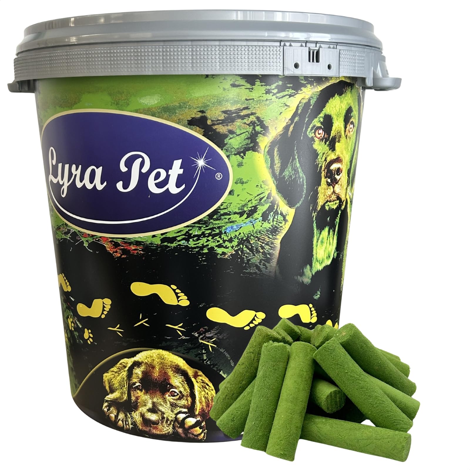Lyra Pet® 1 kg (5 x 200 g) Katzengras Sticks gefriergetrocknet + 30L Tonne | Mit Huhn & Gerstengras - Getreidefrei & verdauungsfördernd - Ideal auch für Kitten & Senioren - Vitalstoffreiche Belohnung