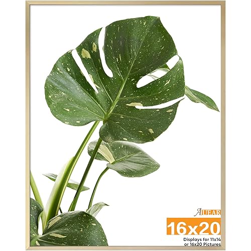AUEAR, 16x20 Picture Frame - Display Photos 11x14 with Mat or 16x20 Without Mat - Aluminum Metal Pictures Frame for Wall Mounting - Real Glass (Gold)