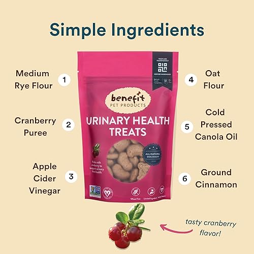Miniatura 6 de Benefit Biscuits, golosinas naturales para perros, certificadas veganas, sin OMG, sin trigo, galletas saludables para perros, fabricadas en Estados