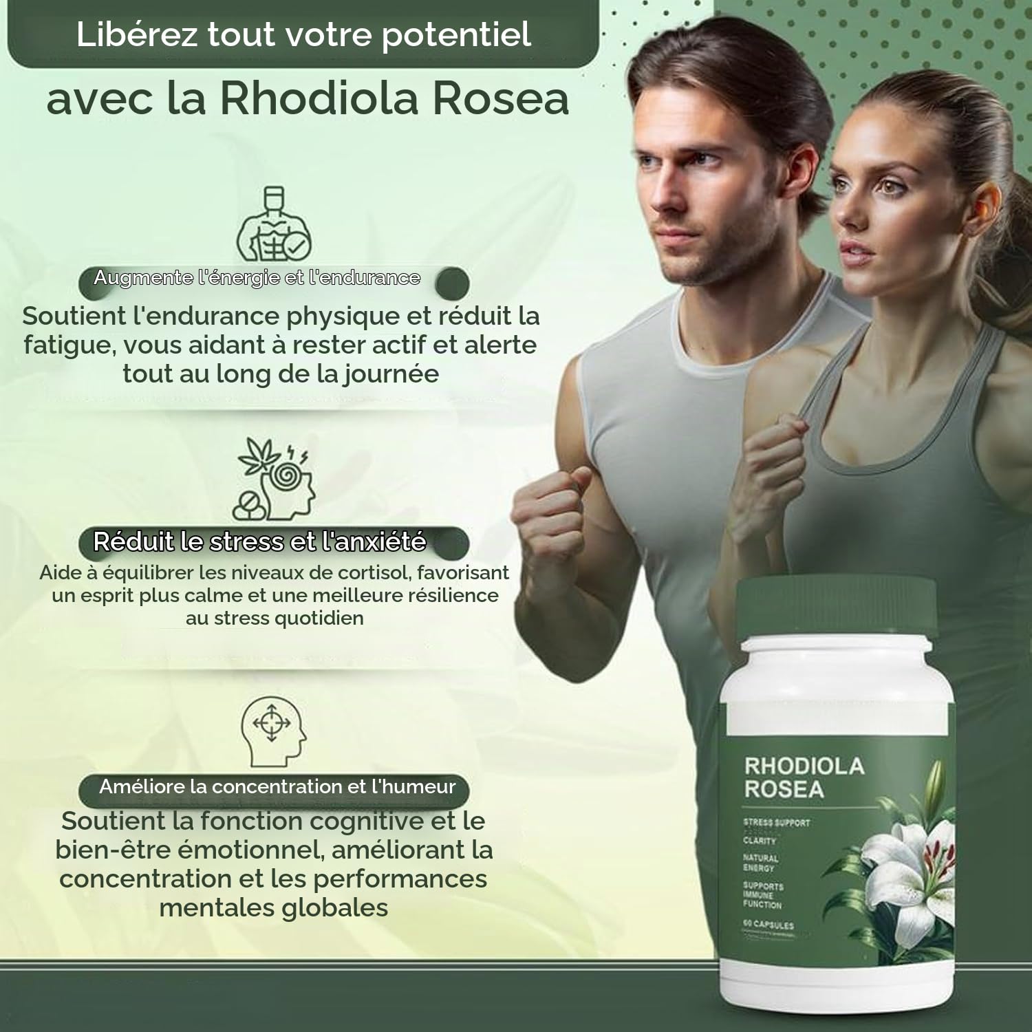 Rhodiola rosea biologique, formule naturelle,3PCS | , soutient l'immunité, concentre l'esprit, favorise l'équilibre émotionnel global, sans OGM, soulage la fatigue