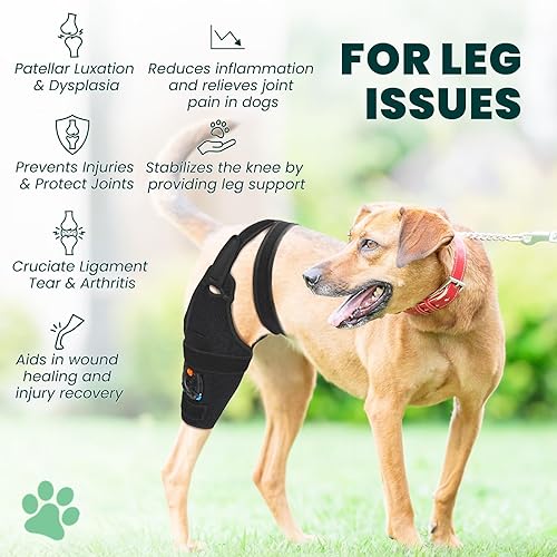 Miniatura 2 de Rodillera para perro para pierna trasera de ligamento cruzado anterior desgarrado, ajustador de ángulo de metal para ajuste personalizado,