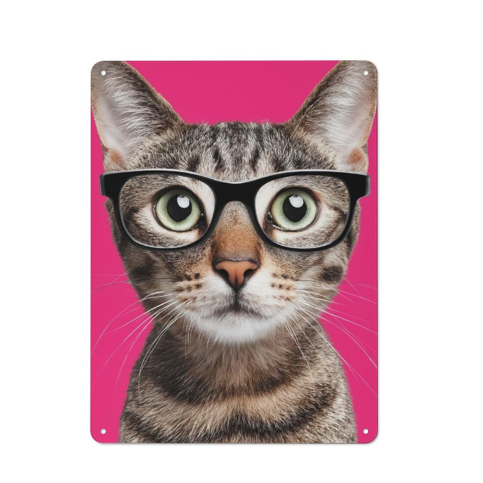 Junmoney Style-16 For Café Or Restaurant, Cat With Glasses On Pink Background Retro Metal Sign 40X30cm, Gift For Café Owners And Decorators During The Christmas Season