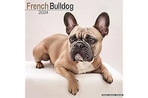 2024 Frenchie Calendar: French Bulldog 16 Month Wall Calendar
