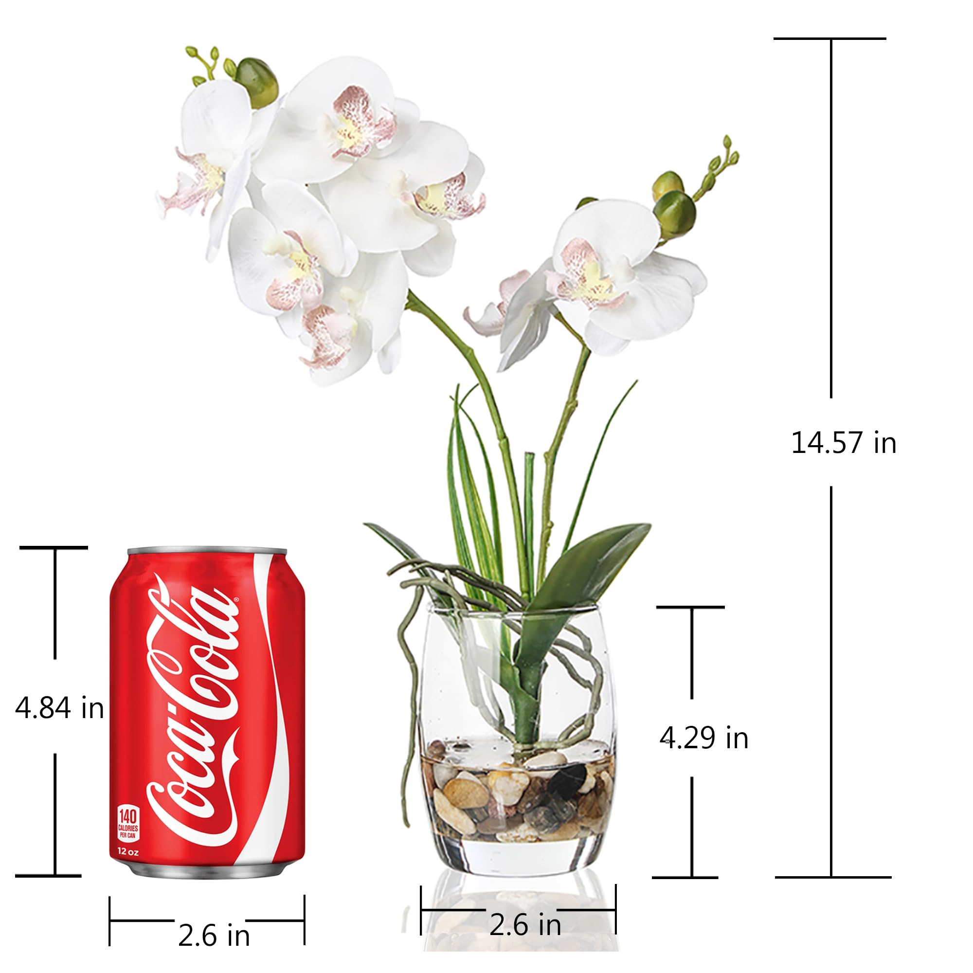 Amazon｜Jusdreen 造花盆栽 ガラス花瓶付き 鮮やかな蘭の花