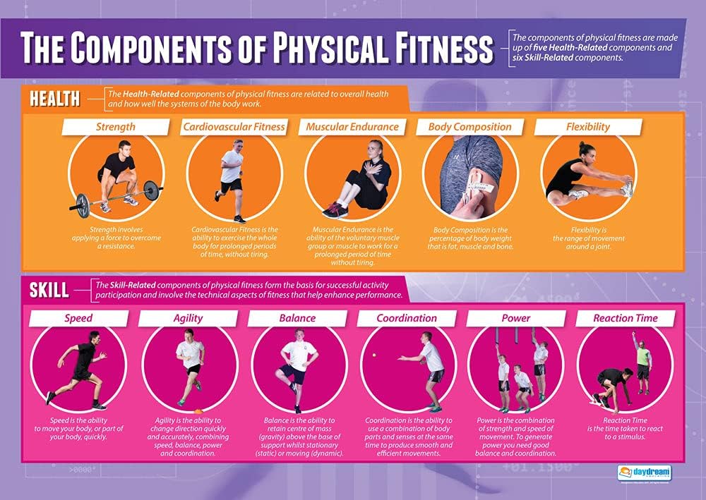 Components of Physical Fitness | PE Posters | Gloss Paper measuring 33” x 23.5” | Physical Education Charts for the Classroom | Education Charts by Daydream Education