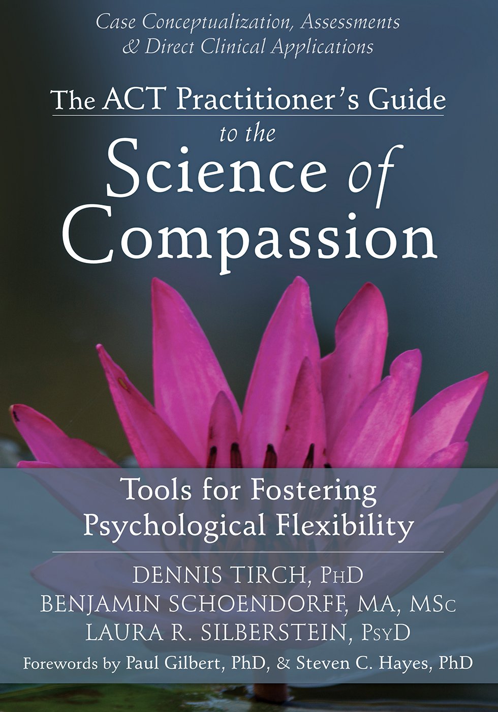 Buy The ACT Practitioner's Guide to the Science of Compassion: Tools for Fostering Psychological Flexibility — BookShops.in
