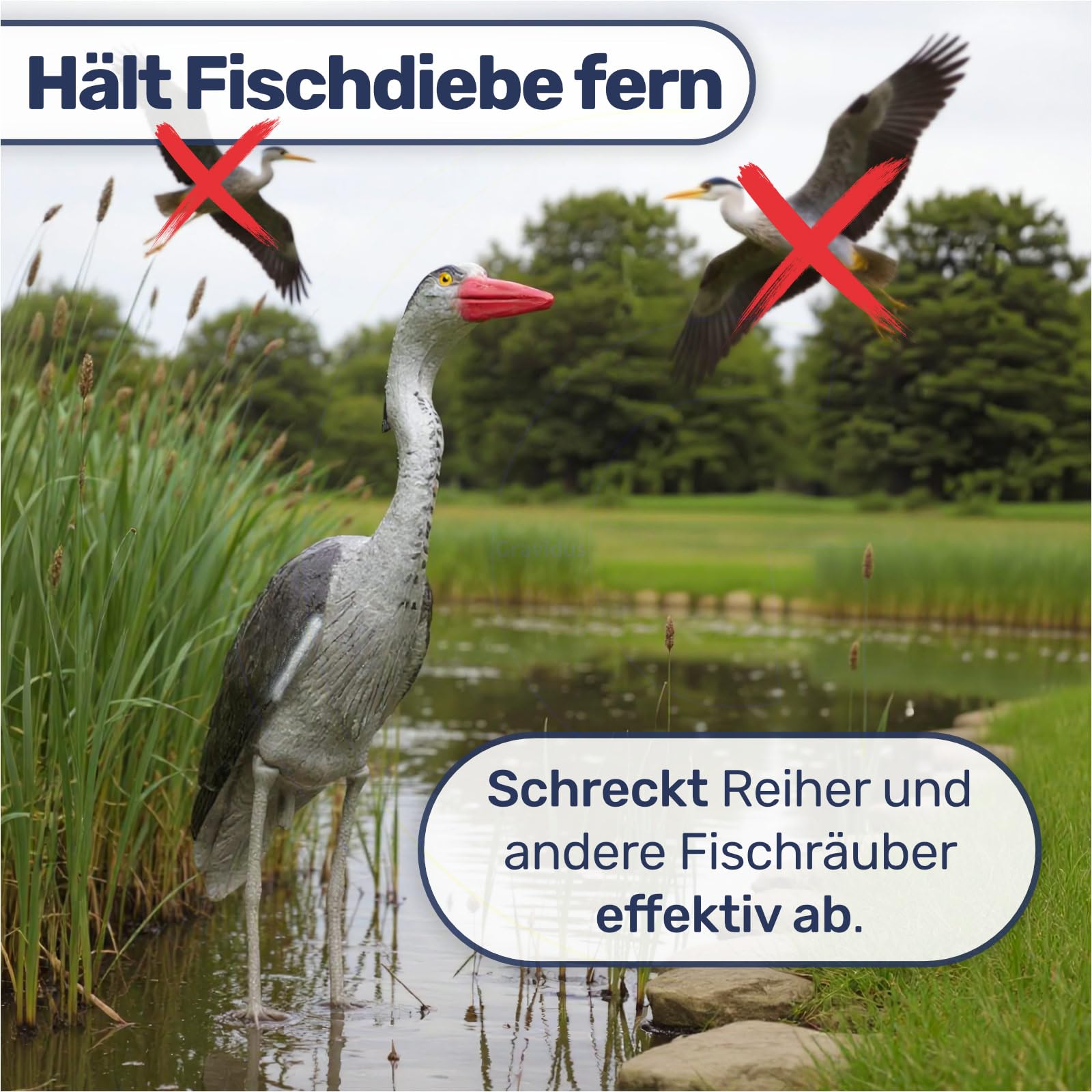 Gravidus Täuschend echte Fischreiher-Attrappe - Handbemalte Gartenfigur aus wetterfestem Kunststoff, Reiherschreck für Teich und Pool, 57 x 14 x 75 cm