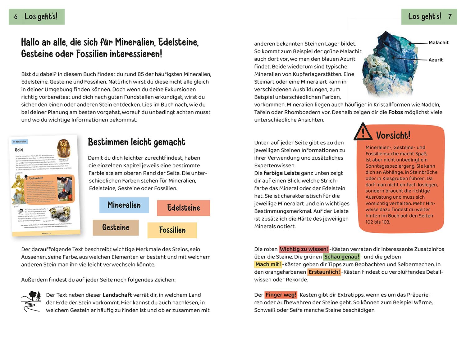 Welcher Stein ist das? Kindernaturführer: 85 Mineralien, Gesteine, Fossilien. Richtig Bestimmen, Spaß in der Natur, die Welt der Mineralien und Gesteine entdecken.