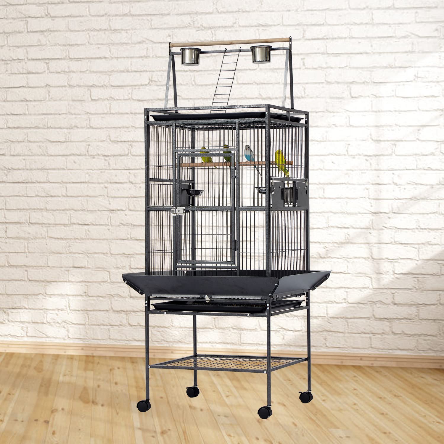 10 Best Cheap Dove Bird Cages for Your Feathered Friends Hummingbirds