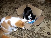 Review Image by Sam's Mom Sam's Mom