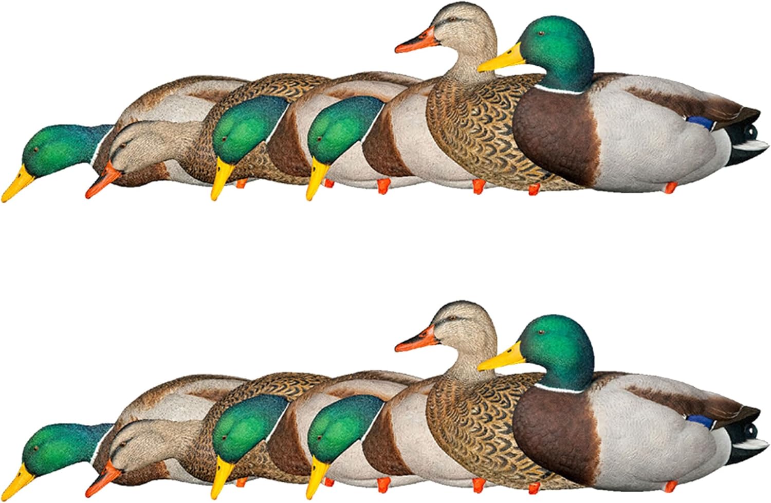 Avian-X AXP Full Body Mallards Decoy with Durable Materials, Wind Activated Motion System, and 6 True to Life Postures, 12 Pack, Multicolork