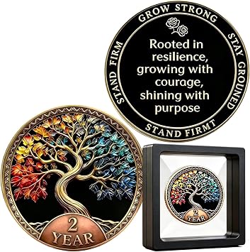Tree of Life Gift Set 2 Year Sobriety Commemorative Gift Set Recovery Anniversary Gift AA Inspirational Medallion Unisex Sobriety Milestone Keepsake with Exquisite Coin Storage Boxes