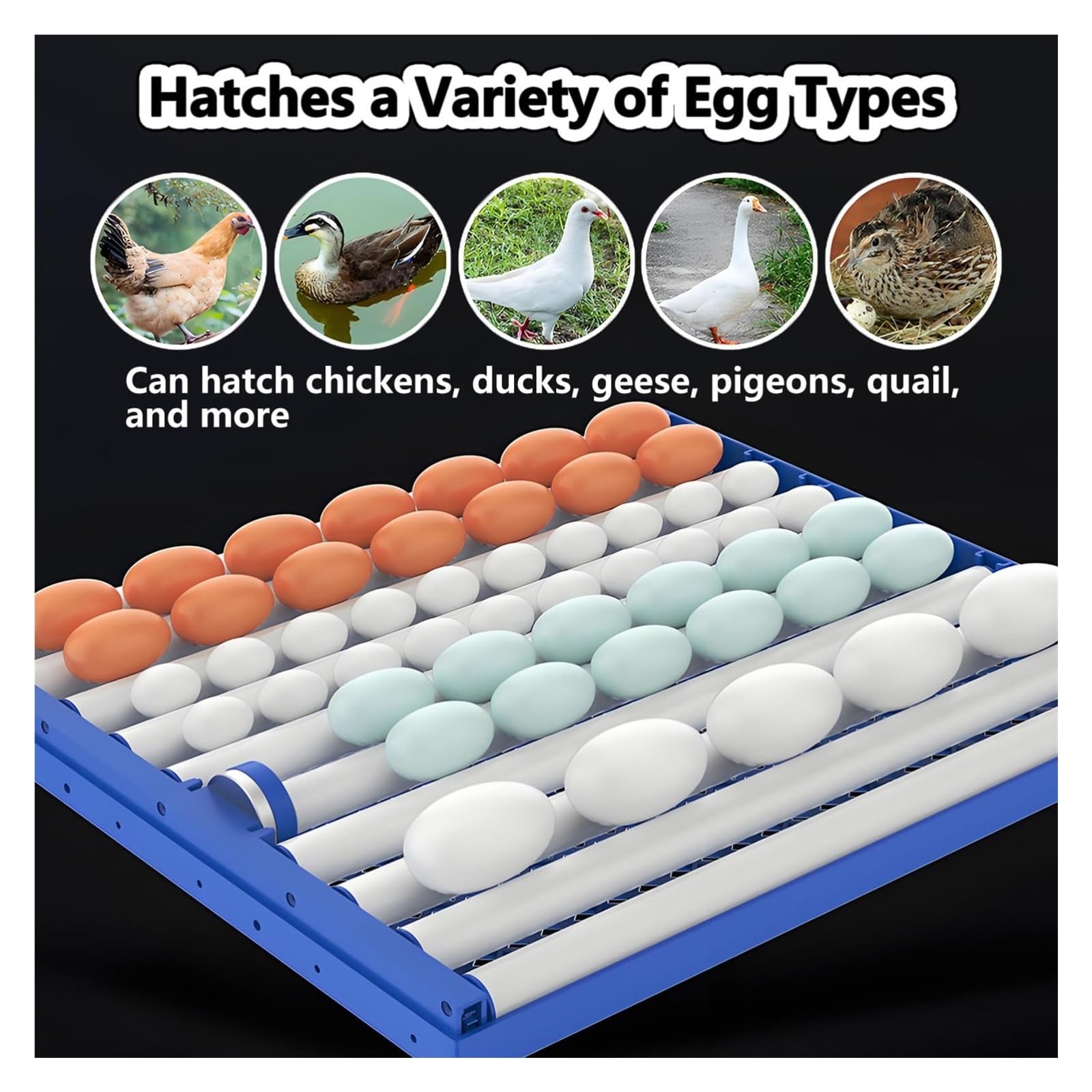 Incubatrice for uova con display dell'umidità, incubatrice automatica for uova, incubatrice automatica for la cova, allevatrice domestica intelligente for letti ad acqua for polli, inc.(272eggs)