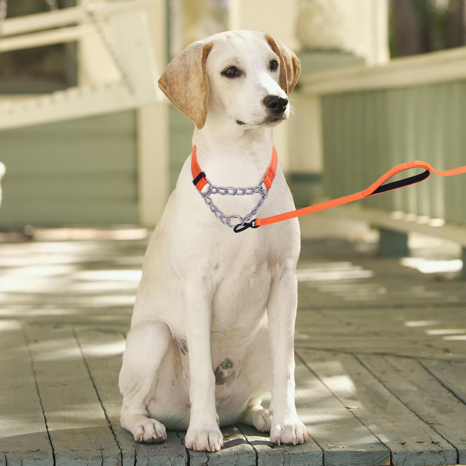 haoyueer Martingale Dog Collar, Stainless Steel Chain, Martingale Collar with Reflective - Image 2