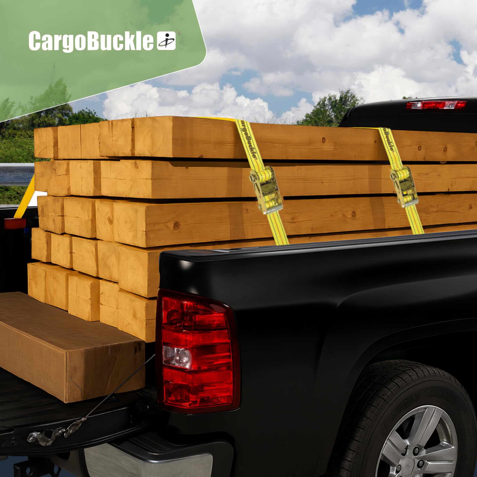 Cargobuckle f14069 correa de amarre con doble J-Hooks, 2 "x 20"